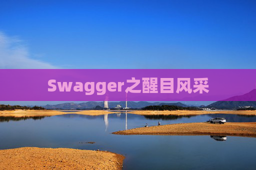 Swagger之醒目风采
